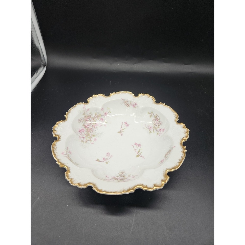 Vintage Elite Limoges France 10.5 Inch Shallow Bowl Hand Painted Floral Gold